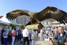 foto Feest voor buurtbewoners in Oranjewijk te Wateringen